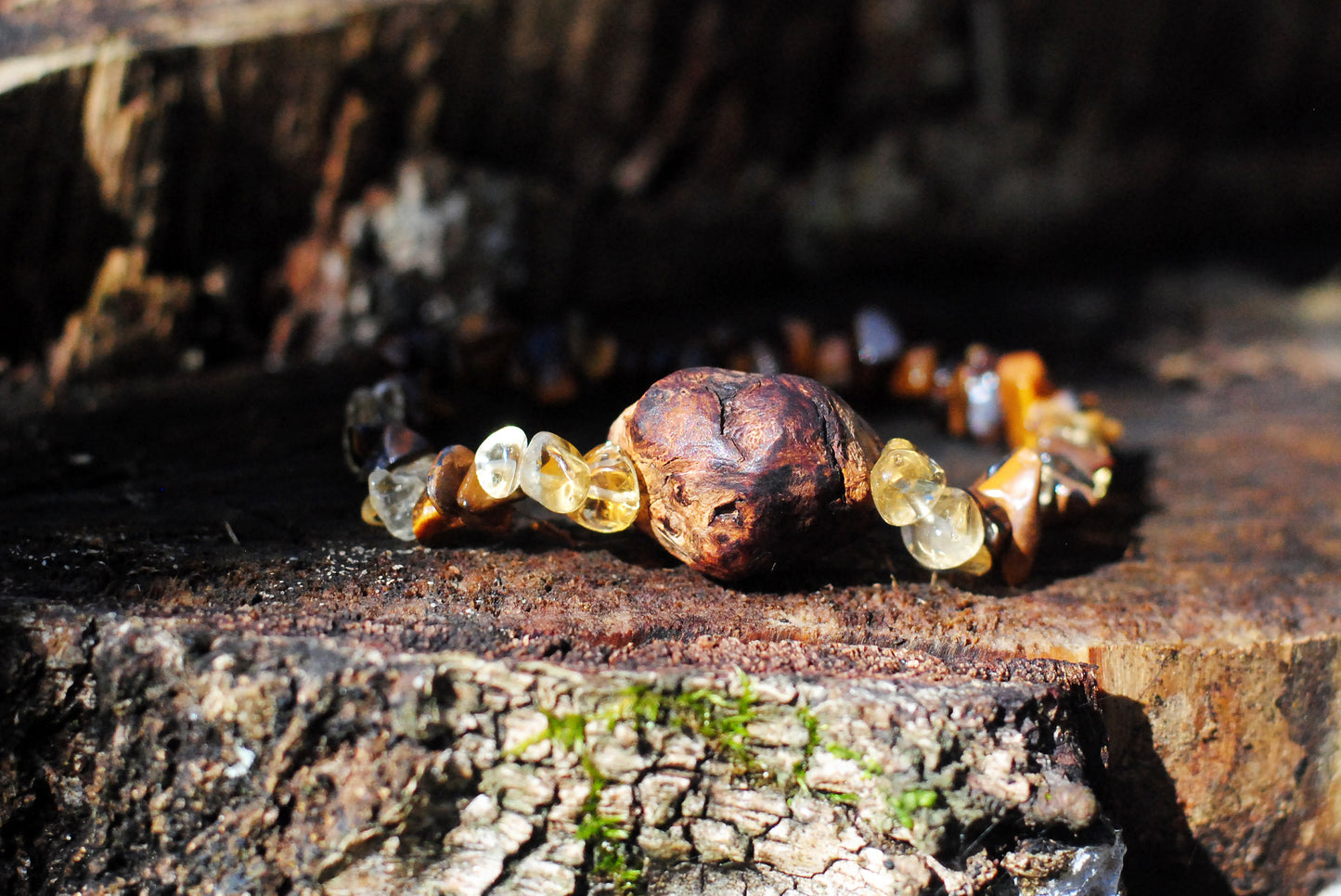 Mut ✧ Baumperlen-SchmuckSet ✧ Tigerauge & Citrin ✧ Unikat