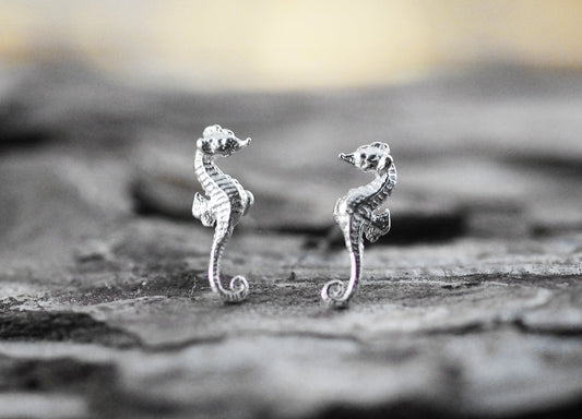 925er Silber Ohrstecker Seepferdchen