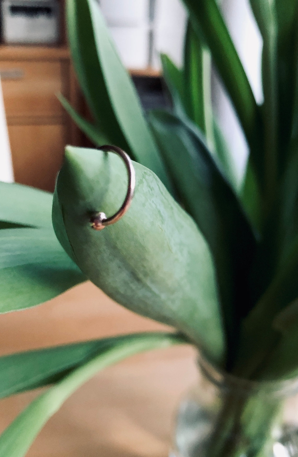 18K Roségold vergoldeter Ear Cuff 18K