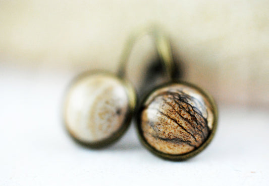 Edelstein-Ohrhänger Jaspis