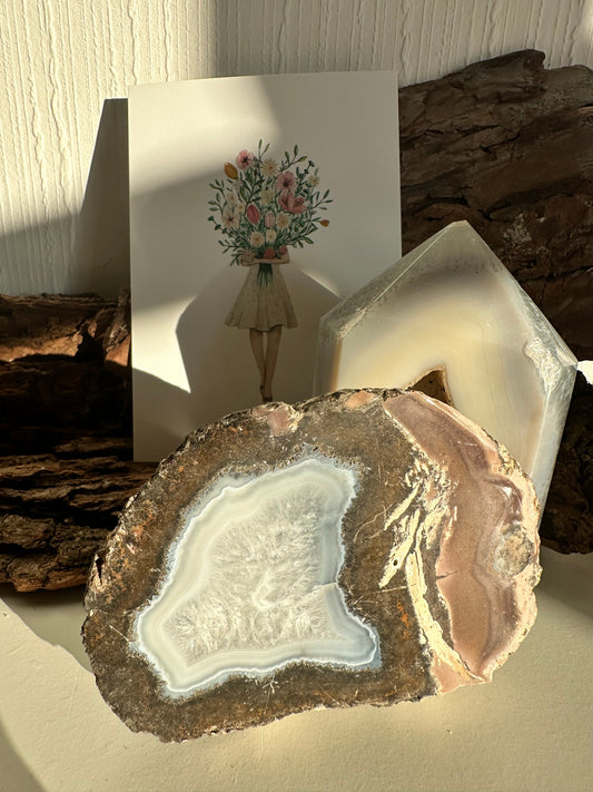 Achat-Geoden-Anschliff XL