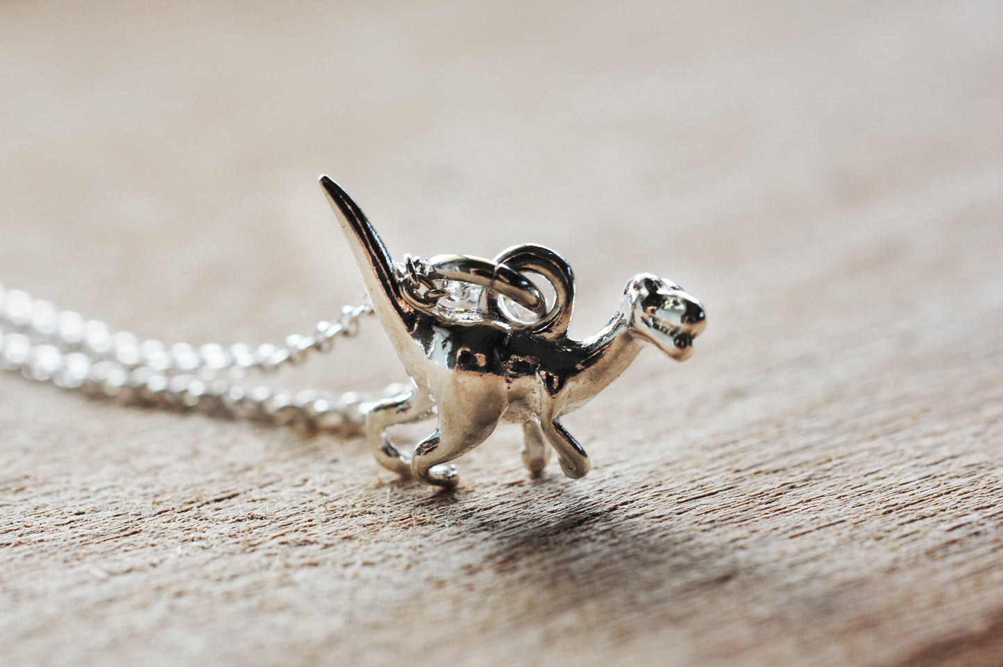 925er Silber Kette "Dino"